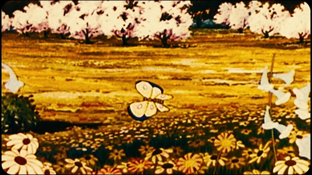 Video Reference: Ecoregion, People in nature, Flower, Plant, Leaf, Natural landscape, Natural environment, Vegetation, Grass, Wood