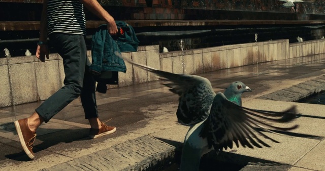 Video Reference: Bird, Beak, Mammal, Feather, Public space, Street fashion, Thigh, Wing, Tail, Luggage and bags