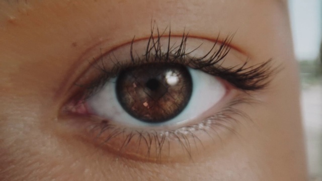 Video Reference: Brown, Eyelash, Azure, Mammal, Iris, Material property, Makeover, Tints and shades, Beauty, Electric blue