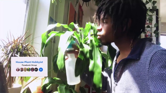 Video Reference: Plant, Organism, Terrestrial plant, Adaptation, Black hair, T-shirt, Flowerpot, Grass, Event, Happy