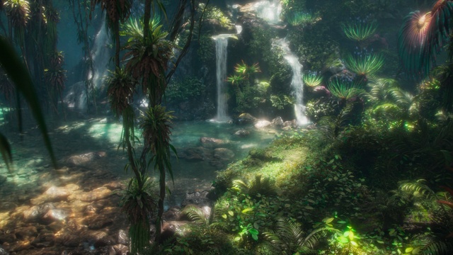 Video Reference: Plant, Plant community, Water, Natural landscape, Terrestrial plant, Organism, People in nature, Grass, Woody plant, Trunk