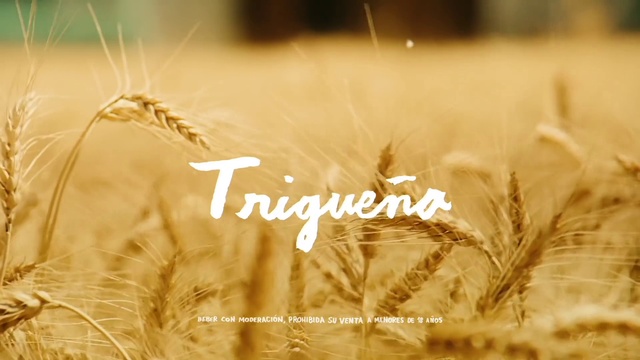 Video Reference: Plant, Nature, People in nature, Natural landscape, Khorasan wheat, Grass, Agriculture, Happy, Grassland, Grass family