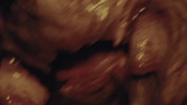 Video Reference: Jaw, Wood, Snout, Liver, Facial hair, Wrinkle, Pattern, Fur, Tree, Peach