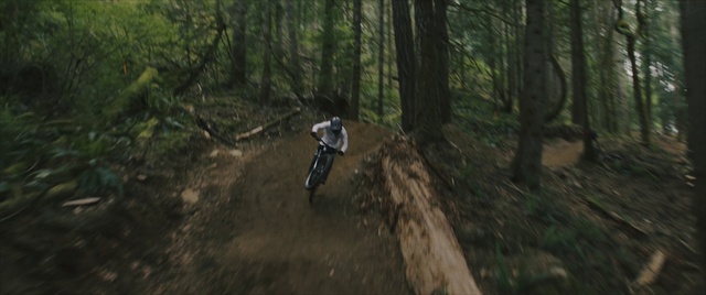 Video Reference: Tire, Plant, Wheel, Tree, Vehicle, Motorcycle, Wood, Racing, Cycle sport, Grass