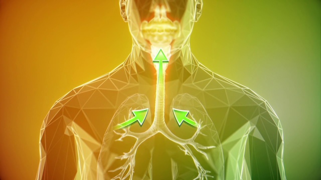 Video Reference: Water, Shoulder, Human body, Neck, Jaw, Art, Chest, Symmetry, Event, Bone