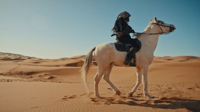 Video Reference: Sky, Horse, Natural environment, Working animal, Landscape, Sand, Aeolian landform, Erg, Singing sand, Horse tack