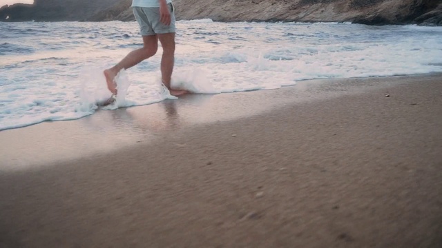 Video Reference: Water, Shorts, Leg, Beach, People on beach, Coastal and oceanic landforms, Body of water, Barefoot, Wood, Horizon