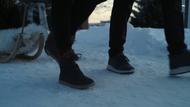 Video Reference: Footwear, Shoe, Knee, Thigh, Snow, Grey, Street fashion, Wood, Freezing, Tree