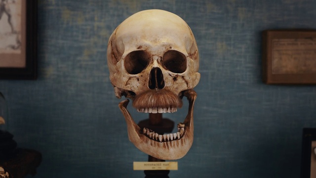 Video Reference: Nose, Head, Eye, Picture frame, Mouth, Bone, Human body, Neck, Jaw, Skull
