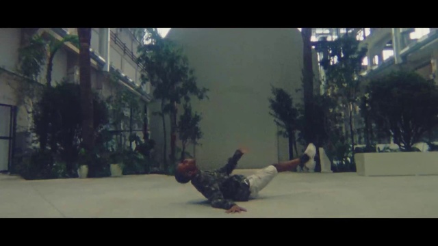 Video Reference: Plant, Tree, Atmospheric phenomenon, Tints and shades, Darkness, Event, Leisure, Performing arts, Fun, Night