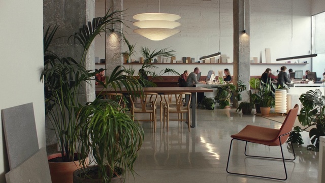 Video Reference: Plant, Furniture, Property, Table, Houseplant, Chair, Flowerpot, Lighting, Interior design, Building