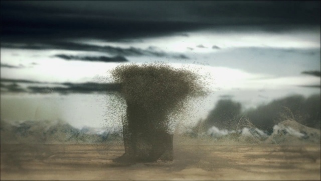 Video Reference: Hair, Cloud, Atmosphere, Sky, Branch, Natural landscape, Wood, Flash photography, Grass, Tree
