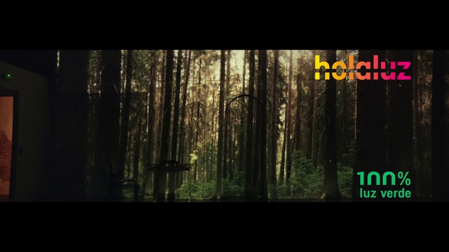 Video Reference: Plant, Natural landscape, Wood, Branch, Trunk, Tree, Terrestrial plant, Landscape, Tints and shades, Grass