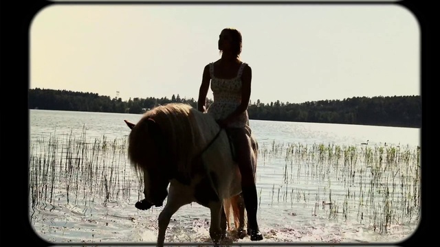Video Reference: Horse, Sky, Water, Working animal, Horse tack, Horse supplies, Bridle, People in nature, Saddle, Happy