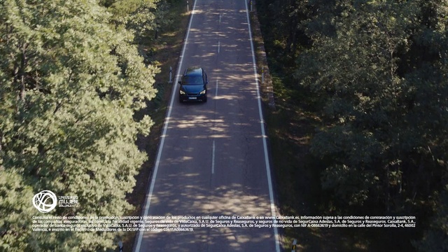 Video Reference: Vehicle, Car, Natural environment, Motor vehicle, Road surface, Asphalt, Tire, Plant, Vegetation, Land lot