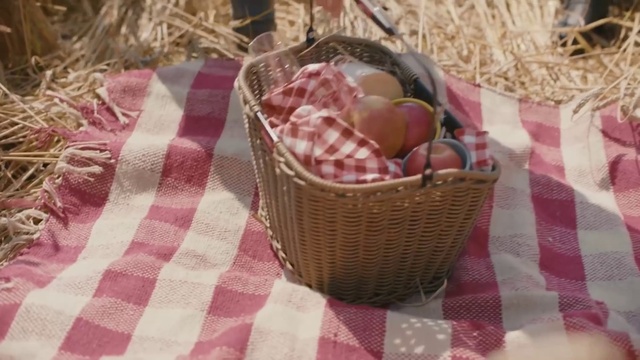 Video Reference: Storage basket, Textile, Tartan, Picnic basket, Basket, Pink, Pattern, Wicker, Flower girl basket, Magenta