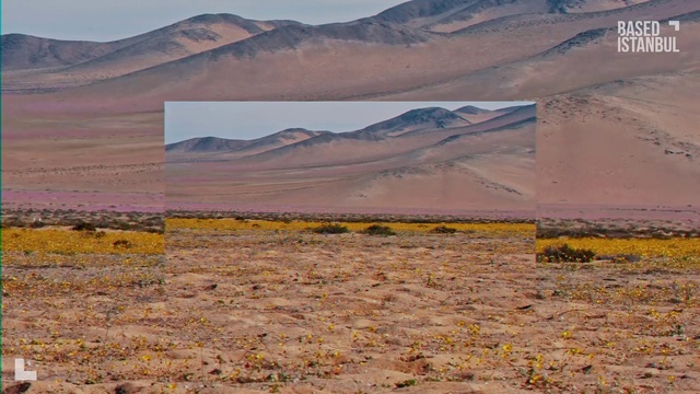 Video Reference: Sky, Mountain, Plant, Plant community, Ecoregion, Natural environment, Natural landscape, Flower, Landscape, Mountainous landforms