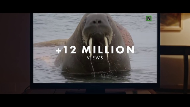 Video Reference: Water, Jaw, Organism, Output device, Carnivore, Display device, Walrus, Font, Fish, Marine mammal