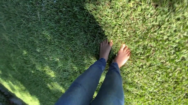 Video Reference: Plant, Leaf, People in nature, Nature, Botany, Vegetation, Grass, Terrestrial plant, Groundcover, Asphalt