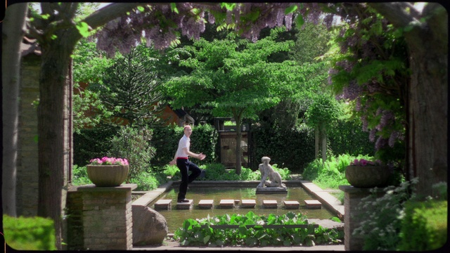 Video Reference: Plant, Nature, Green, Leaf, Botany, Vegetation, Tree, Terrestrial plant, Leisure, Natural landscape