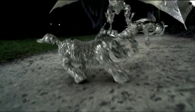 Video Reference: Carnivore, Felidae, Asphalt, Dog breed, Small to medium-sized cats, Tail, Event, Monochrome photography, Soil, Sporting Group