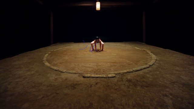 Video Reference: sumo, wrestling, ring, arena, athlete, crouching, dark, indoor, spotlight, tradition, competition, sports, centered, wide shot, minimal