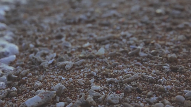 Video Reference: Mixture, Grass, Cuisine, Road surface, Soil, Rock, Pebble, Cobblestone, Landscape, Sand