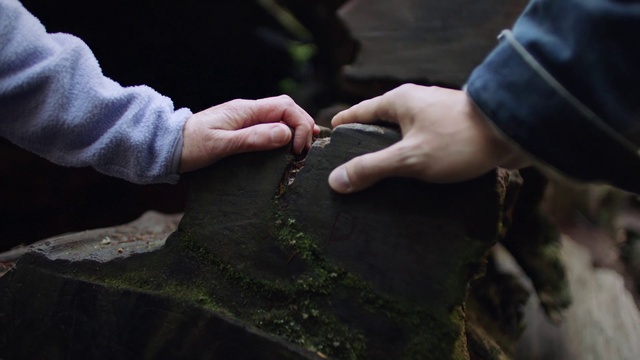 Video Reference: Hand, Gesture, Finger, Thumb, Grass, Wrist, Nail, Soil, Plant, Foot