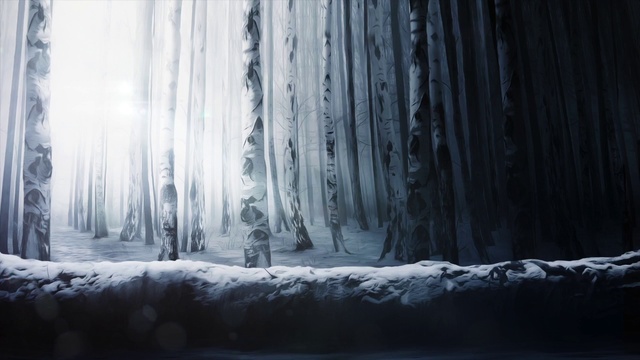 Video Reference: Atmosphere, Plant, Wood, Branch, Snow, Grey, Trunk, Twig, Tree, Natural landscape