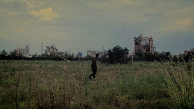 Video Reference: Cloud, Sky, Plant, Ecoregion, Natural landscape, Landscape, Grass, Plain, Grassland, Meadow