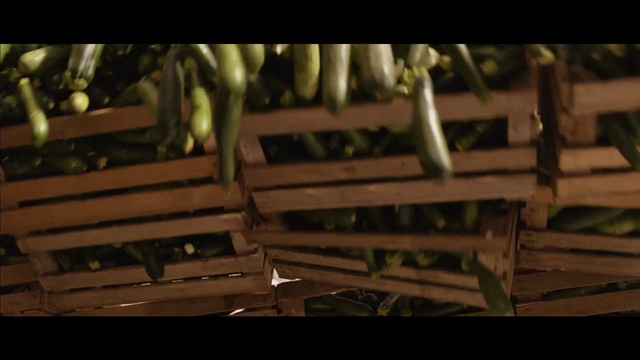 Video Reference: Wood, Grass, Tints and shades, Terrestrial plant, Twig, Landscape, Darkness, Terrestrial animal, Soil, Fence