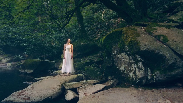 Video Reference: Plant, Tree, Bridal clothing, Flash photography, Wedding dress, Dress, People in nature, Sunlight, Wood, Happy