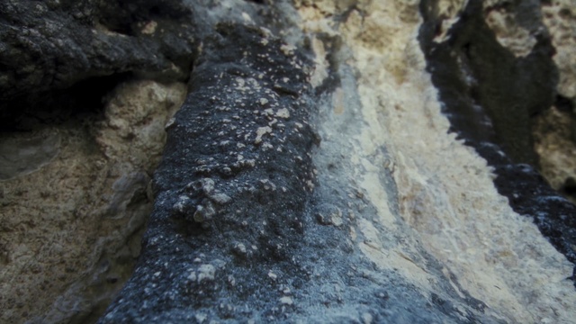 Video Reference: Water, Bedrock, Formation, Wood, Outcrop, Intrusion, Soil, Volcanic rock, Rock, Igneous rock