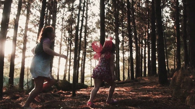Video Reference: Plant, People in nature, Wood, Tree, Flash photography, Branch, Natural landscape, Trunk, Happy, Sunlight