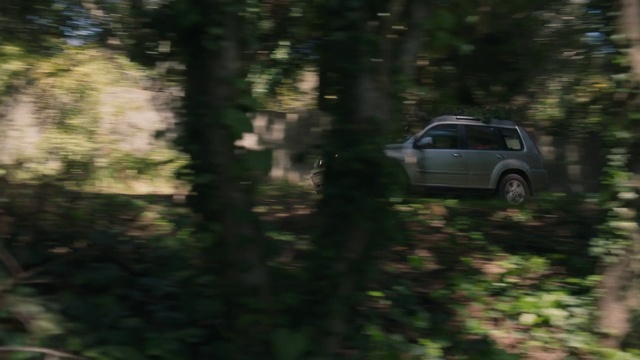Video Reference: Plant, Wheel, Tire, Vehicle, Automotive lighting, Car, Automotive tire, Alloy wheel, Motor vehicle, Grass