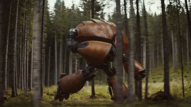 Video Reference: Tree, Wood, Plant, Trunk, Working animal, Landscape, Helmet, Personal protective equipment, Forest, Pack animal