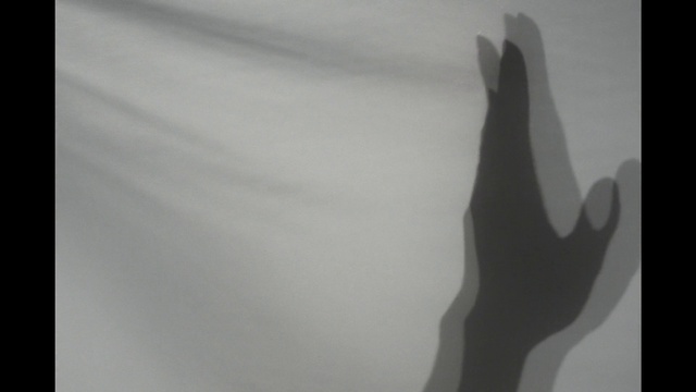 Video Reference: Arm, Plant, Cloud, Sky, Gesture, Grey, Twig, Petal, Art, Tints and shades