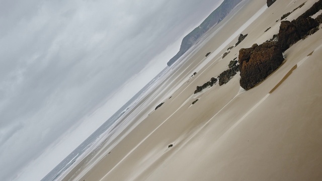 Video Reference: Water, Cloud, Sky, Wood, Beach, Landscape, Automotive exterior, Sand, Wing, Horizon