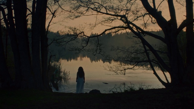 Video Reference: Water, Cloud, Sky, Atmosphere, Plant, Tree, Wood, Natural landscape, Branch, Dusk