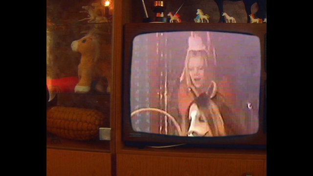 Video Reference: television, vintage, retro, stuffed animals, plush toy, toy horse, child, indoor, screen, blurry, nostalgic, cabinet, home decor
