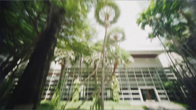 Video Reference: Plant, Building, Tree, Grass, House, Urban design, Facade, Landscape, Tower block, Window