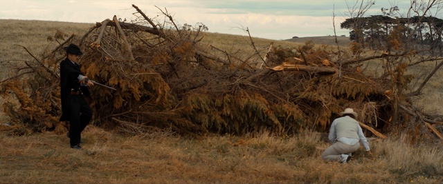 Video Reference: Plant, Plant community, Sky, Ecoregion, Cloud, Natural landscape, Wood, Twig, Grass, Grassland