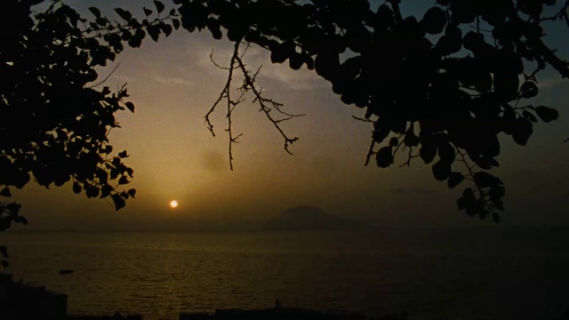 Video Reference: Water, Sky, Atmosphere, Cloud, Afterglow, Nature, Branch, Dusk, Natural landscape, Sunlight