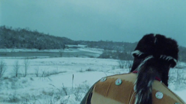 Video Reference: Sky, Snow, Plant, Tree, Cap, Eyewear, Grassland, Freezing, Helmet, Grass