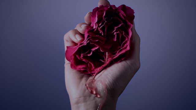 Video Reference: Flower, Plant, Purple, Petal, Gesture, Pink, Nail, Violet, Art, Creative arts
