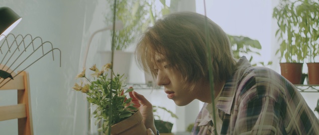 Video Reference: Flower, Plant, Sunlight, Happy, Eyelash, Petal, Grass, Flower Arranging, Artificial flower, Bangs