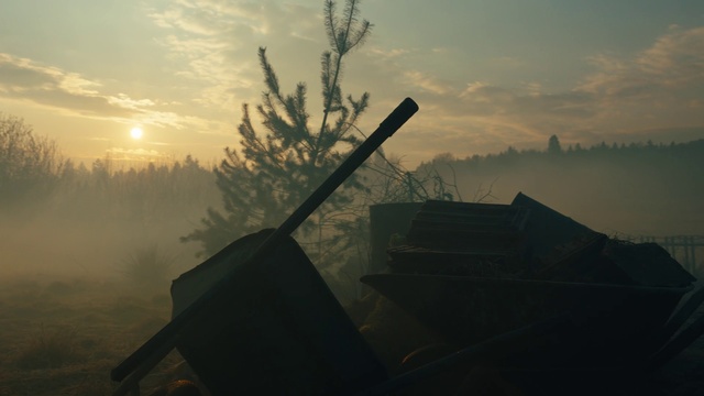 Video Reference: Cloud, Sky, Atmosphere, Plant, Branch, Atmospheric phenomenon, Natural landscape, Sunlight, Wood, Grass