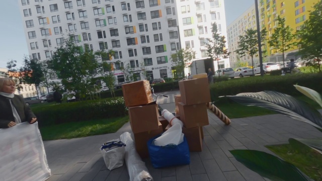 Video Reference: Plant, Daytime, Building, Window, Road surface, Tree, Neighbourhood, Architecture, Urban design, Asphalt