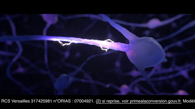 Video Reference: Plant, Purple, Organism, Terrestrial plant, Flower, Violet, Petal, Gas, Electric blue, Darkness