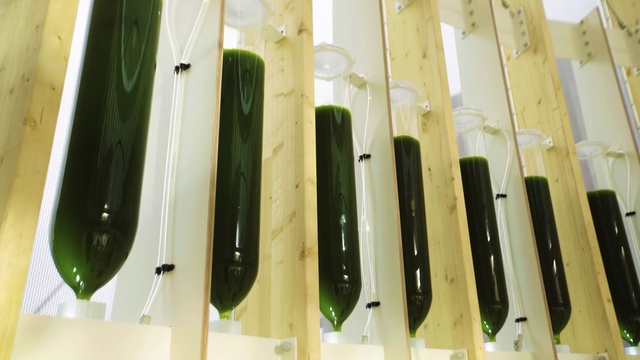 Video Reference: Automotive lighting, Automotive exterior, Vehicle door, Tints and shades, Hood, Glass, Font, Glass bottle, Rectangle, Metal